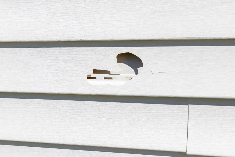 Expert Repair of Cracked Vinyl Siding