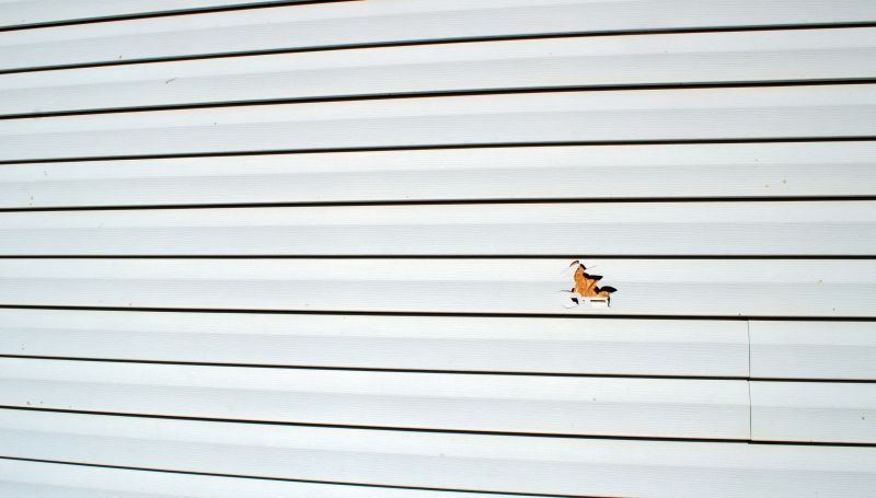 Professional Siding Maintenance